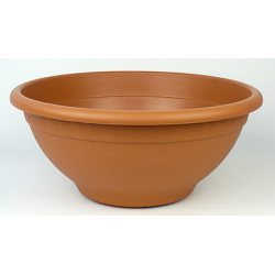 Maceta cultivo Yamadori  PIG set de 5