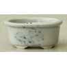 Bonsai pot MAR09 MARUFUJI