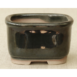 Bonsai pot MAR13 MARUFUJI