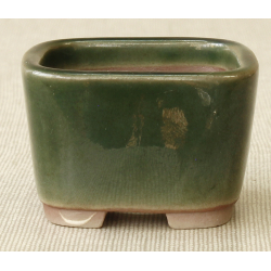 Bonsai pot MAR14 MARUFUJI