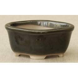 Bonsai pot MAR16 MARUFUJI