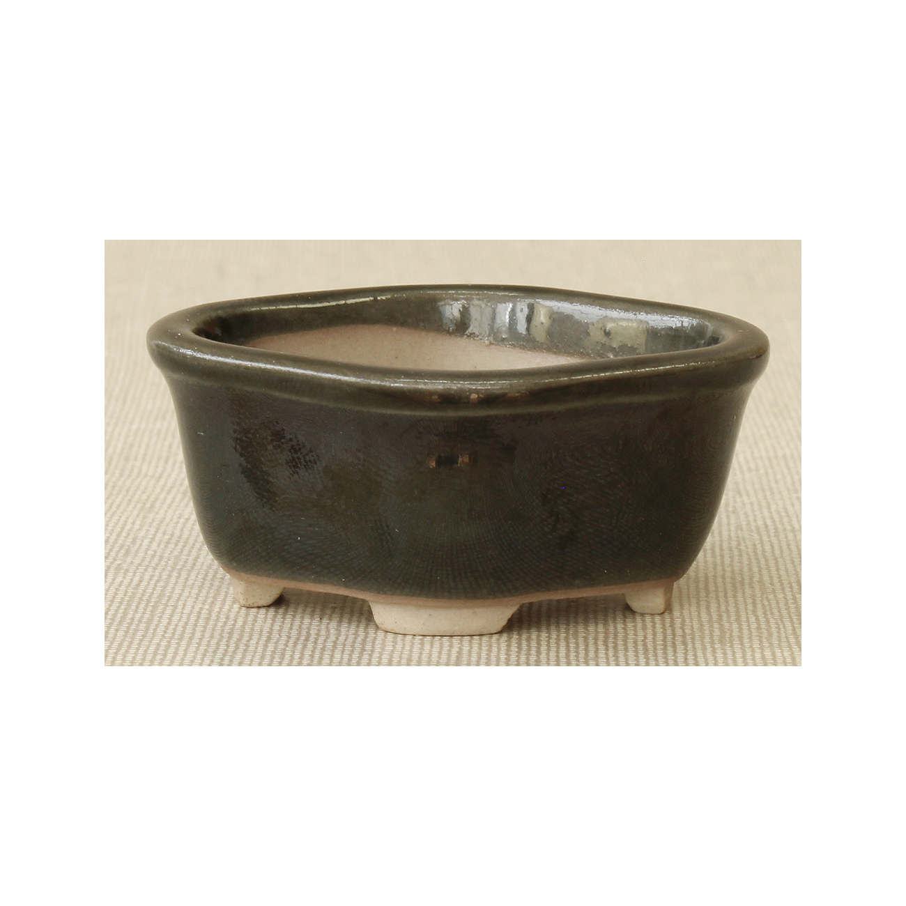 Bonsai pot MAR16 MARUFUJI