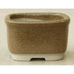 Bonsai pot MAR18 MARUFUJI