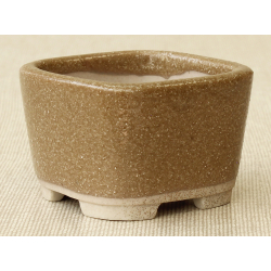 Bonsai pot MAR19 MARUFUJI