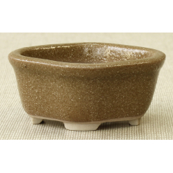 Bonsai pot MAR22 MARUFUJI