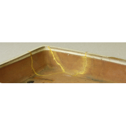 Bonsai pot NAKAWATARI NAKA033 SYOUHAINOIN View 4