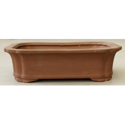 Bonsai pot TAS101N-12