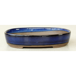 Bonsai pot Y2008AA