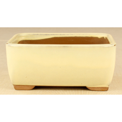 Bonsai pot Y2020AB