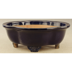 Bonsai pot Y2396A HOUTOKU