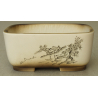 Maceta bonsái Y3621 BUNZAN