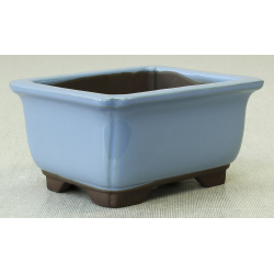 Bonsai pot Y5044 BUNZAN View 2