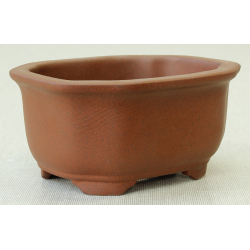 Bonsai pot Y5092 BUNZAN View 2