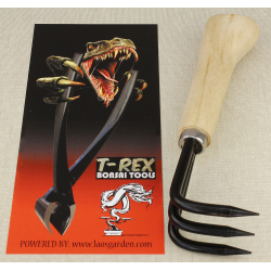 T-Rex root hook 3