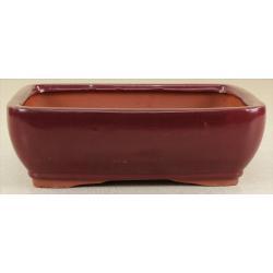 Bonsai pot GAS102-1
