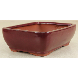 Bonsai pot GAS102-1 View 2