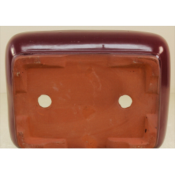 Bonsai pot GAS102-1 View 3
