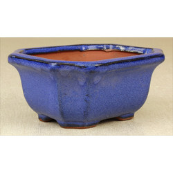 Bonsai pot GAS051-1