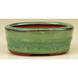 Bonsai pot GAS041-1V