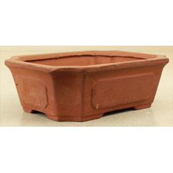 Bonsai pot TAS101-9