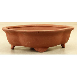 Bonsai pot TAS081-5