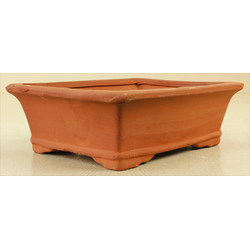 Bonsai pot TAS101-5 View 2