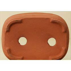 Bonsai pot TAS061-1 View 3
