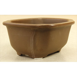 Bonsai pot Y19-17A MIZUTANI View 2