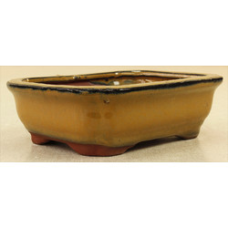 Bonsai pot GAS061-22