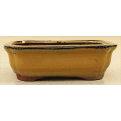 Bonsai pot GAS061-22 View 2