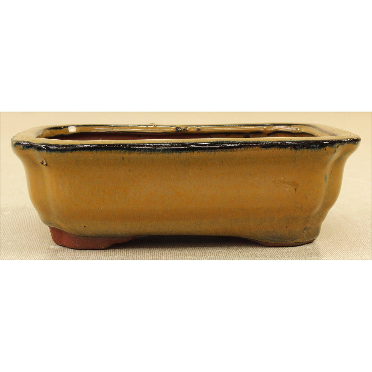 Bonsai pot GAS061-22 View 2