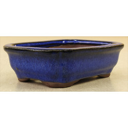 Bonsai pot GAS061-20 View 2