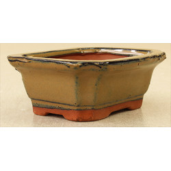 Bonsai pot GAS022-18
