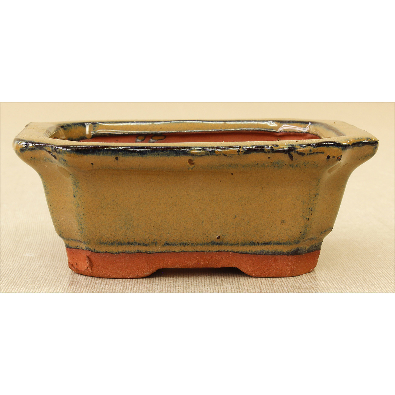 Bonsai pot GAS022-18 View 2