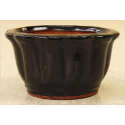 Bonsai pot GAS022-22