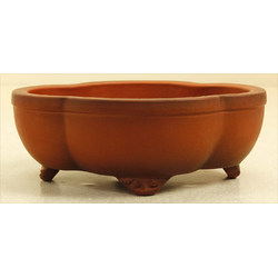 Bonsai pot S242-1B TOSEIEN