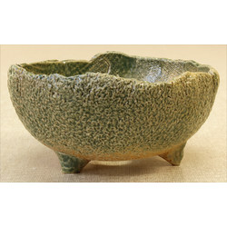 Bonsai pot Y2-21 HANABUSA