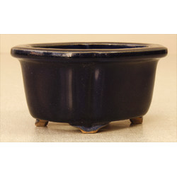 Bonsai pot CCH016 KOSHUN View 2