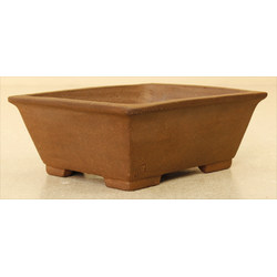 Bonsai pot TER297 TERAHATA SATOMI