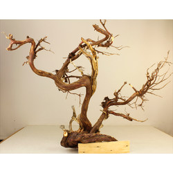 Madera para tanuki bonsái 10 Vista 3