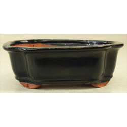 Bonsai pot GAS081-5A2