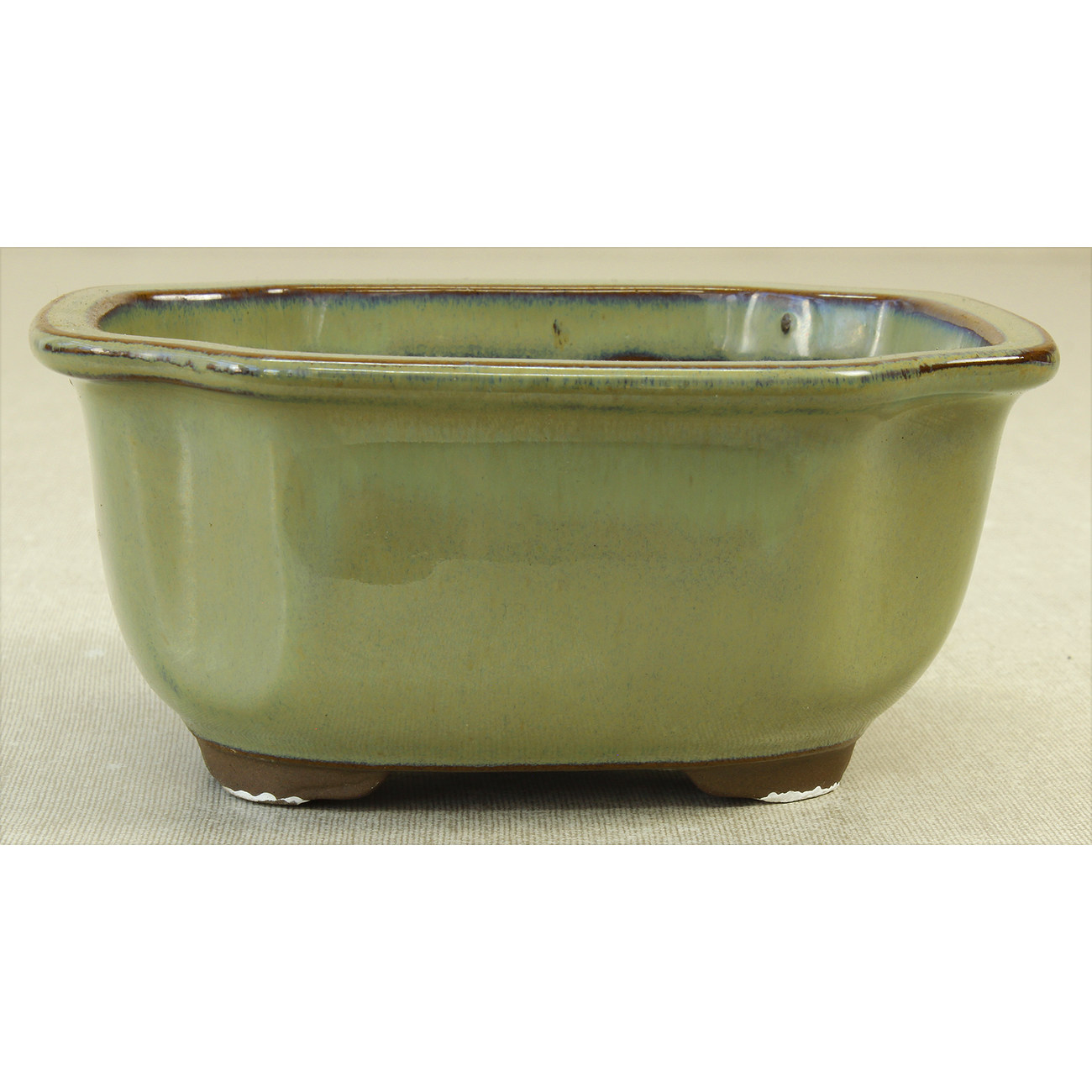 Bonsai pot Y19-18A MIZUTANI