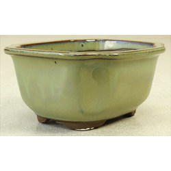 Bonsai pot Y19-18A MIZUTANI View 2