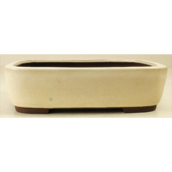 Bonsai pot JTA7307 YAMAAKI TOSHIO