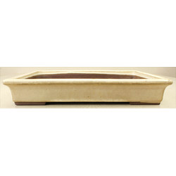 Bonsai pot JTA7296 YAMAAKI TOSHIO