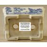 Bonsai pot JTAP270 YOKOTA SHUHO View 4