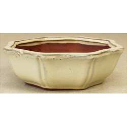 Bonsai pot CHI10AB