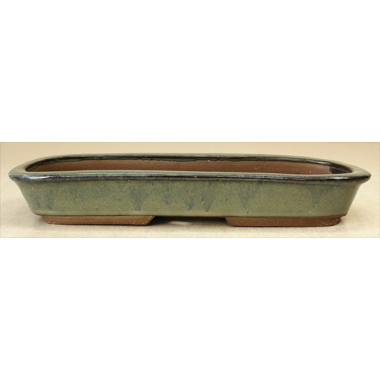 Bonsai pot JTAE811 EJIRI TAIZAN