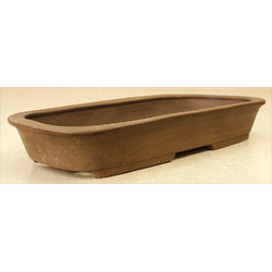 Bonsai pot JTAE702 EJIRI TAIZAN View 2