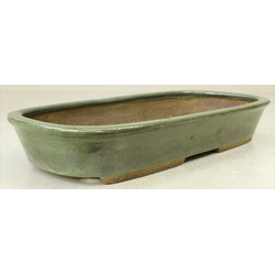 Bonsai pot JTAE791 EJIRI TAIZAN